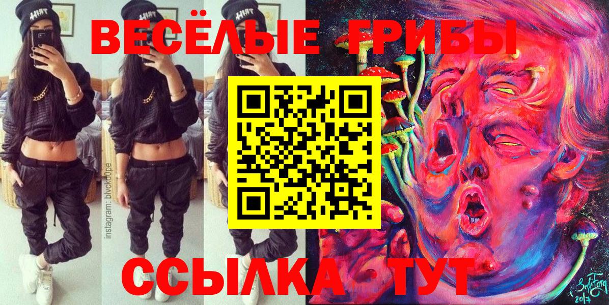 Псилоцибиновые грибы GOLDEN TEACHER Лиски